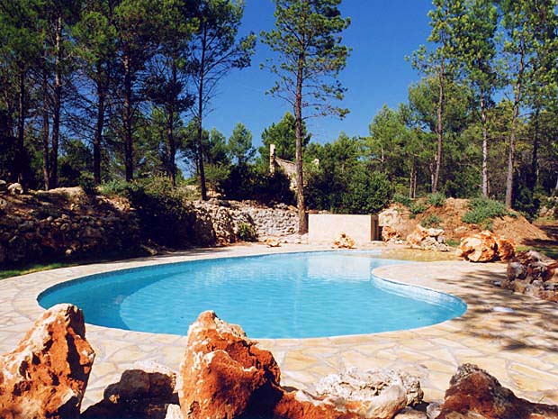 Piscine dans la foret